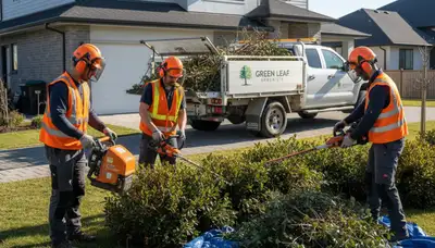 Professional shrub removal service clearing overgrown plants in Louisville, KY yard