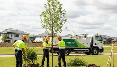 Arborists planting new trees in Louisville KY yard for Chop Chop Tree professional tree planting service