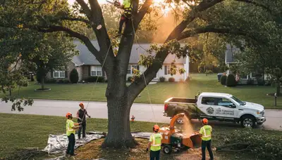 Professional tree removal services in Louisville KY by licensed arborists
